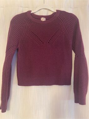 Francesca's Collections Chunky Berry Crew Neck Sweater